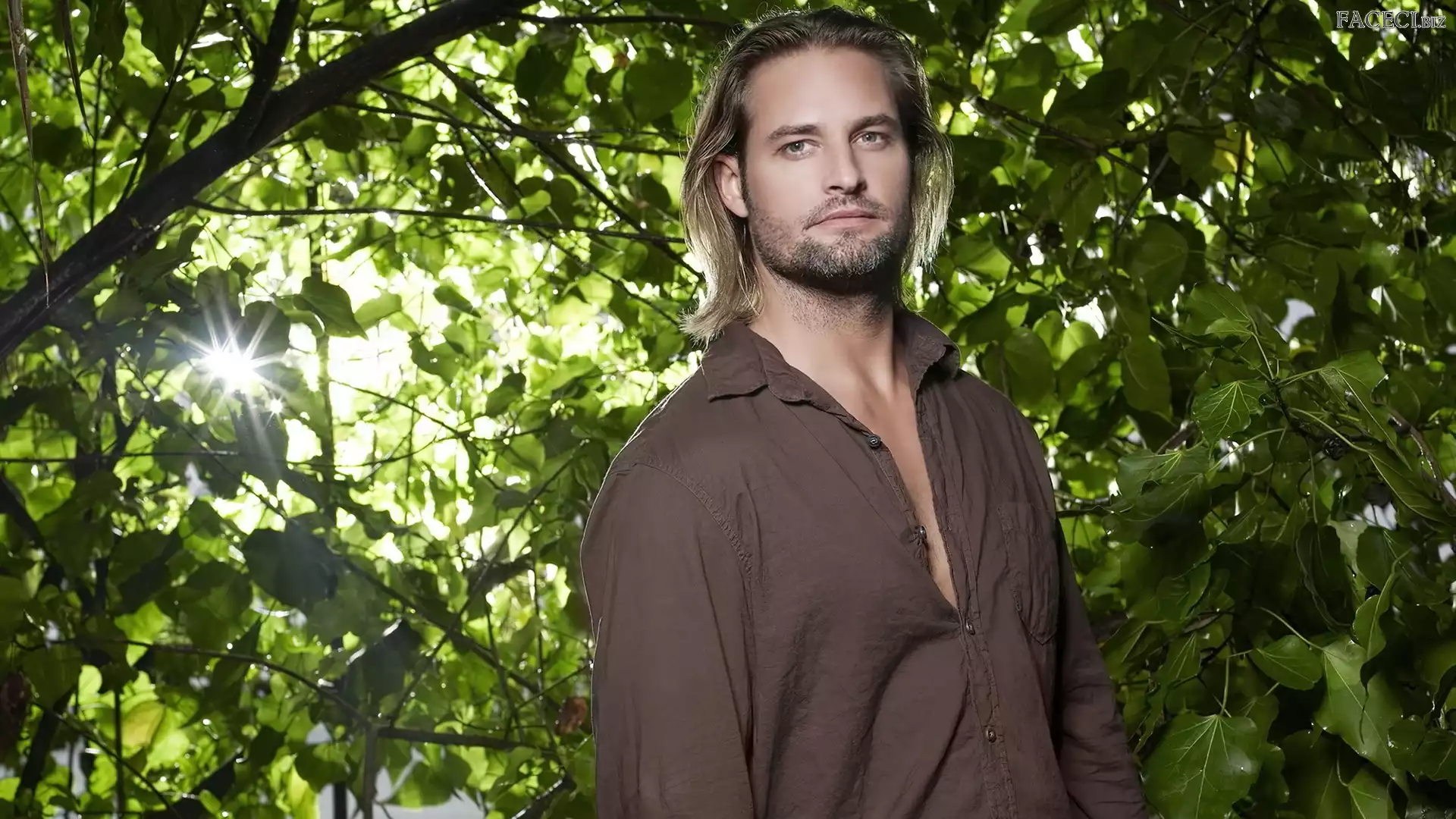 Josh Holloway